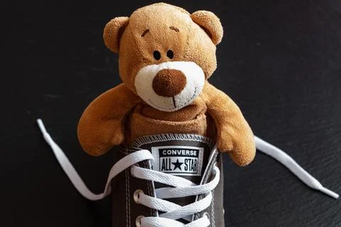 Plush bear in Grey Converse All Star shoes on black background Stock Photos