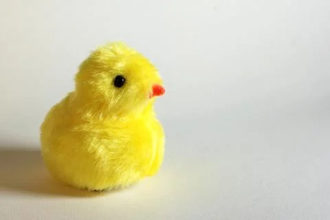 Plush chick Stock Photos