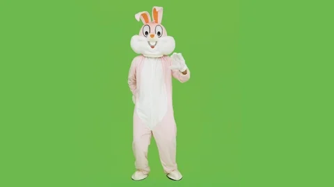 Plush cute easter rabbit bunny life-size suit costume hugs and kisses teddy bear Vidéo 127047696
