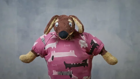 Plush dog puppet in pink dachshund shirt swaying against gray backdrop Video stock 346012050