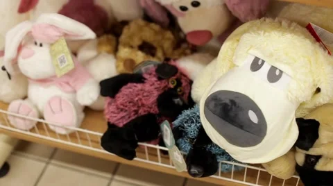 Plush dog in stores Stock Footage 60120550