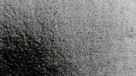 Plush gray fleece texture creates a cozy minimalist background with soft fibe Stock-Fotos