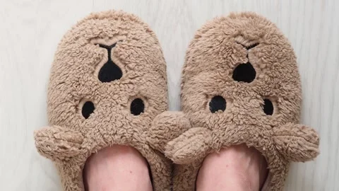 Plush house slippers in the shape of a bear. Warm house shoes. Feet in slippers, 스톡 동영상 270298934