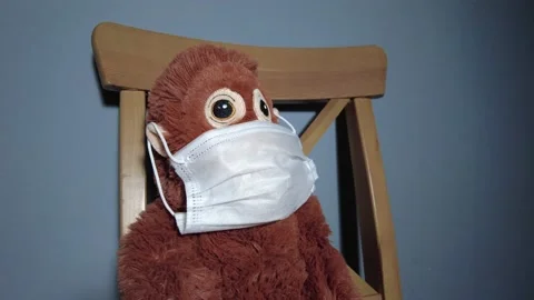 A plush monkey sitting on the chair with its mask 库存影片 150066055