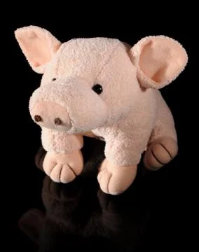 Plush pig Stock Photos