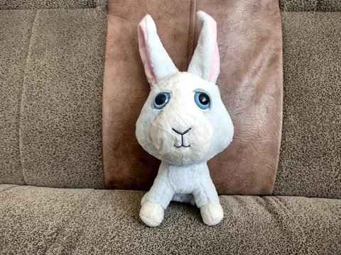 Plush rabbit on a couch Photos