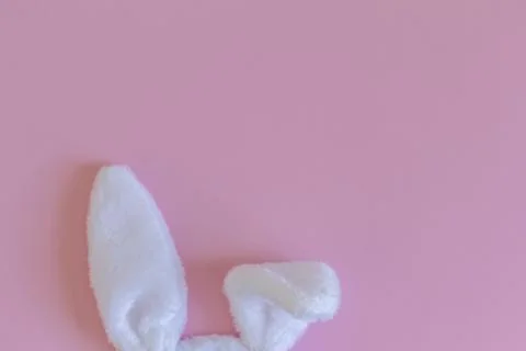 Plush rabbit ears on a pink background. Easter concept with a place to copy. Stock Photos