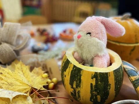 Plush rabbit on a table in an autumn theme Stock Photos