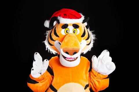 Plush soft orange tiger in a red santa claus hat on a black background Illustrazione stock