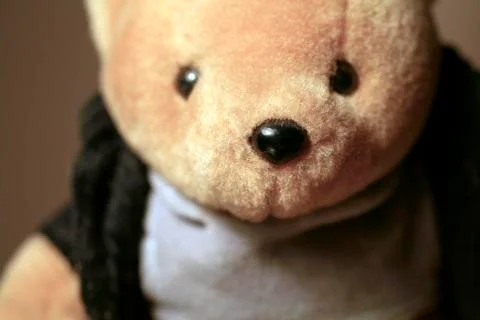 Plush teddy bear Stock Photos