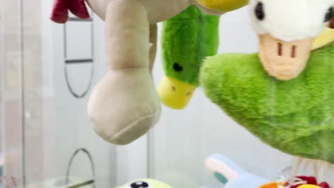 Plush Toy Hanging Inside Claw Machine Stock Footage 335914809
