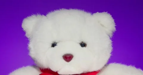 Plush Toy Poses in front of the Camera Lens on a Colorful Background. Stock Footage 148243402