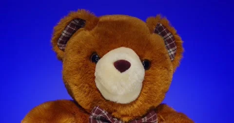 Plush Toy Poses in front of the Camera Lens on a Colorful Background. Stock Footage 148243411