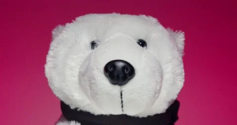 Plush Toy Poses in front of the Camera Lens on a Colorful Background. Stock Footage 148243424