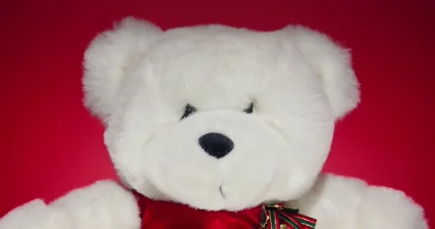 Plush Toy Poses in front of the Camera Lens on a Colorful Background. Stock Footage 148243443