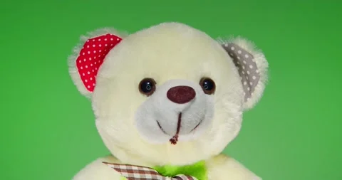 Plush Toy Poses in front of the Camera Lens on a Colorful Background. Stock Footage 148243450
