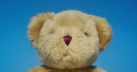 Plush Toy Poses in front of the Camera Lens on a Colorful Background. Stock Footage 148243452