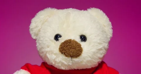 Plush Toy Poses in front of the Camera Lens on a Colorful Background. Stock Footage 148243463