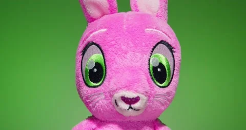 Plush Toy Poses in front of the Camera Lens on a Colorful Background. Stock Footage 148243491