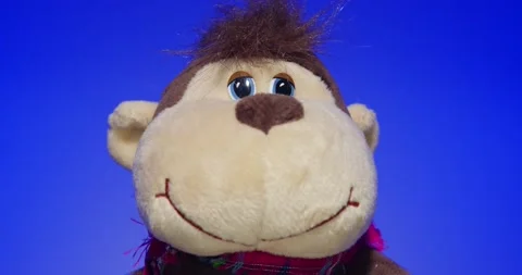 Plush Toy Poses in front of the Camera Lens on a Colorful Background. Stock Footage 148243501