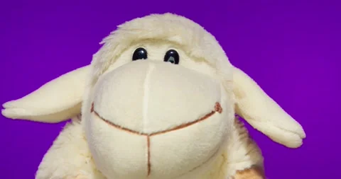 Plush Toy Poses in front of the Camera Lens on a Colorful Background. Stock Footage 148243794