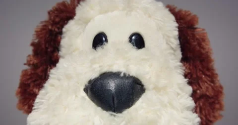 Plush Toy Poses in front of the Camera Lens on a Colorful Background. Stock Footage 148243798