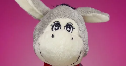 Plush Toy Poses in front of the Camera Lens on a Colorful Background. Stock Footage 148243800