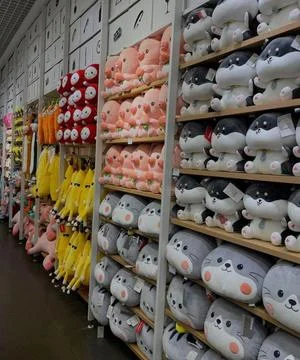 Plush Toy Store Display Animal Kawaii Toys Shop Stock Photos