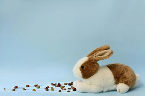 A plush white brown rabbit with pressed ears sits with paws close to a Stock Photos