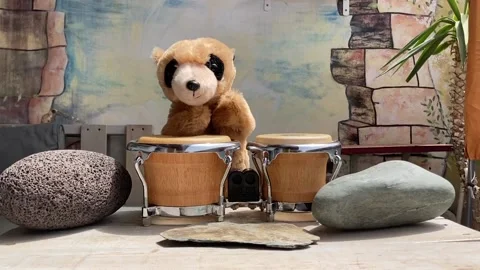 Plushie playing mini bongos Stock Footage 168924118