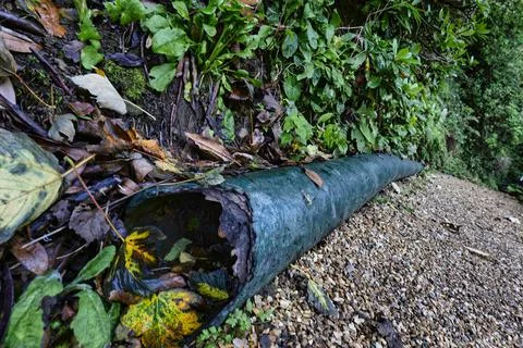 PLUTO Shanklin Chine Stock Photos