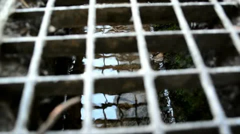 Pluvial waters 08 스톡 동영상 12622952