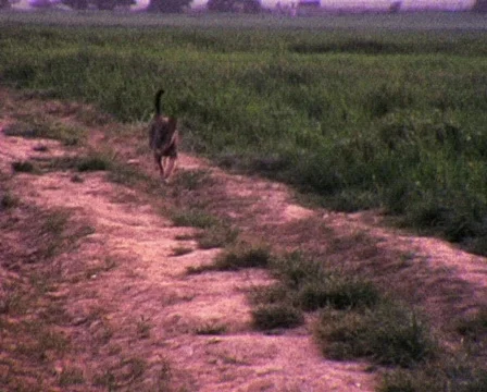 PM 002 Stock-Footage 818120