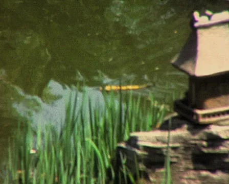 PM 241 Stock Footage 911588