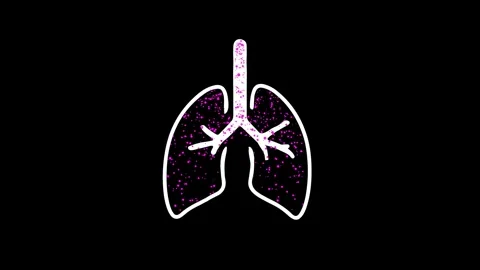 PM 2.5 nano particles entering the respiratory system 4k animation Stock Footage 273203176