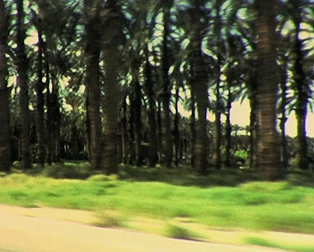 PM 285 Stock Footage 920489