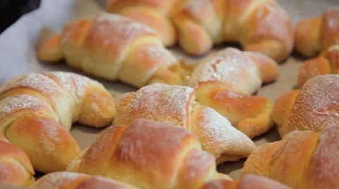 PM 313 Stock Footage 1062555