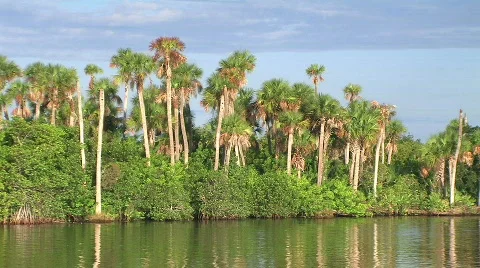 Pml0077 Stock Footage 279483