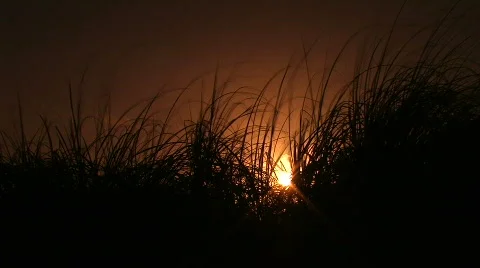 Pml0174 Stock Footage 303659