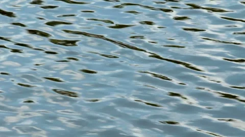 Pml0193 Stock Footage 7760054
