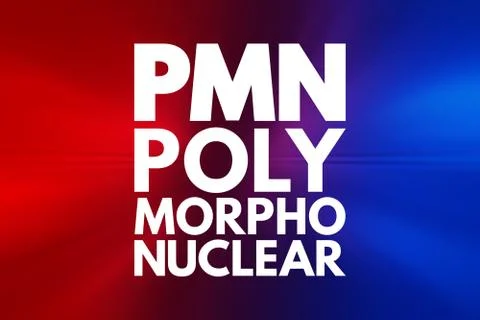PMN - PolyMorphoNuclear acronym, concept background Stock Illustration
