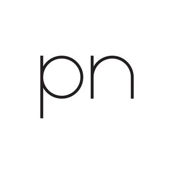Pn initial letter vector logo icon 库存插图