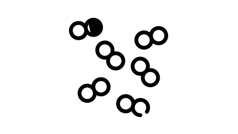 pneumococcus infection black icon animat... | Stock Video | Pond5