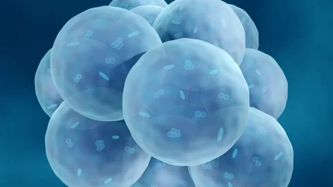 Pneumonia animation Stock Footage 157073380