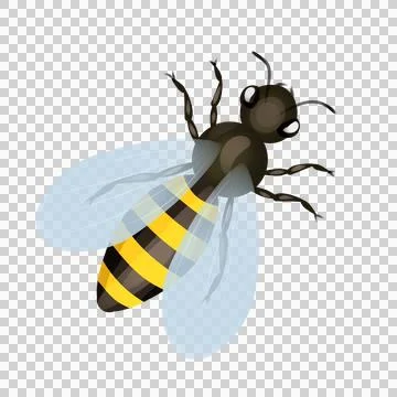 PNG Bee Stock Illustration