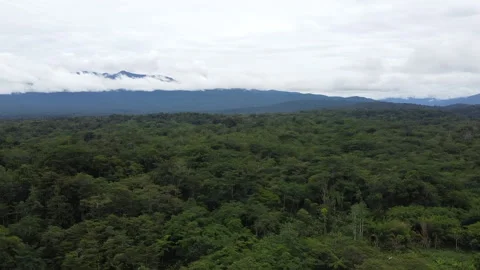 PNG jungle mountain range Video stock 132378009