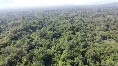 PNG jungle mountain range Video stock 132378038