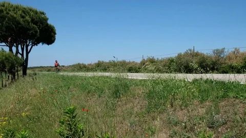 Po delta - Cyclists - Motion view Stock Footage 75791002