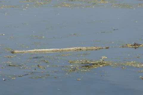 Po (river) Stock Photos