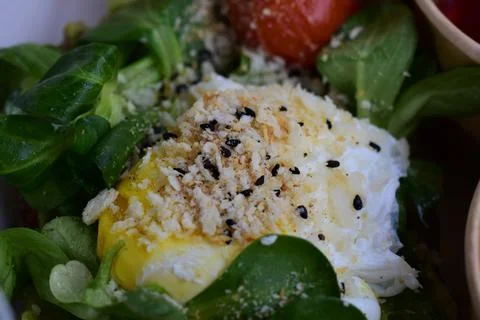 Poached egg on lettuce as a close-up Stock Photos